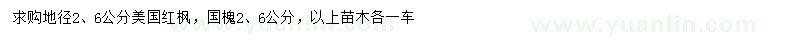 求购地径2、6公分美国红枫、2、6公分国槐