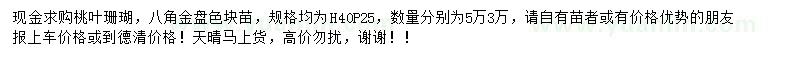 求购桃叶珊瑚、八角金盘色块苗