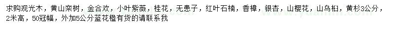 求购观光木、黄山栾树、金合欢等