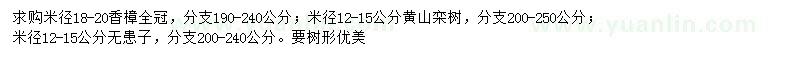 求购香樟、黄山栾树、无患子