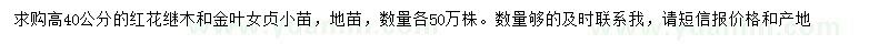 求购高40公分红花继木小苗、金叶女贞小苗