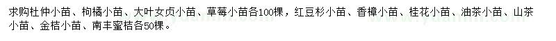 求购杜仲小苗、枸橘小苗、大叶女贞小苗