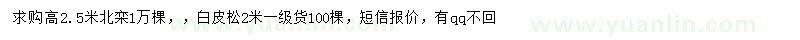 求购高2.5米北栾、2米白皮松