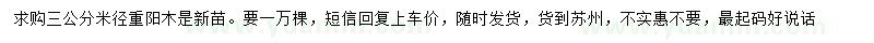 求购米径3公分重阳木