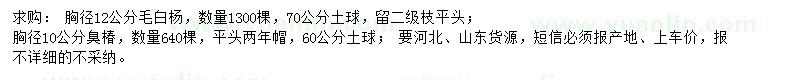 求购胸径12公分毛白杨、胸径10公分臭椿