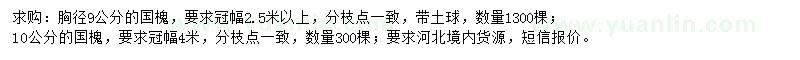 求购胸径9、10公分国槐