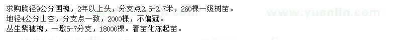 求购国槐、山杏、紫穂槐