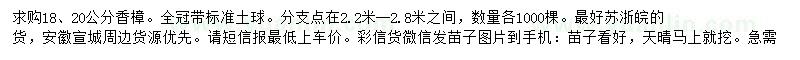 求购18、20公分香樟