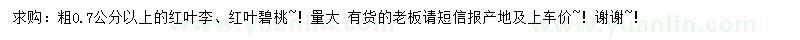 求购粗0.7公分以上红叶李、红叶碧桃