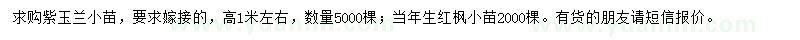 求购高1米左右紫玉兰、红枫