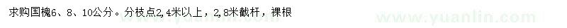 求购6、8、10公分国槐