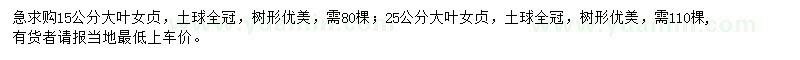 求购15、25公分大叶女贞