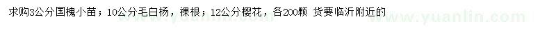 求购国槐小苗、毛白杨、樱花