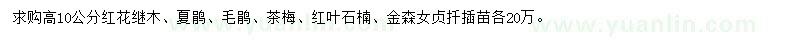 求购红花继木、夏鹃、毛鹃等