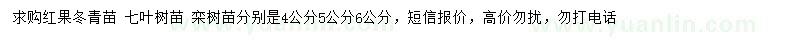 求购红果冬青苗、七叶树苗、栾树苗