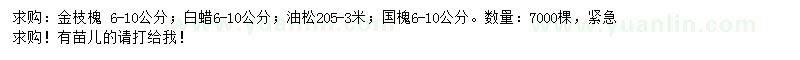 求购6-10公分金枝槐、国槐、油松等