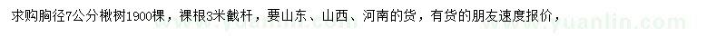 求购胸径7公分楸树