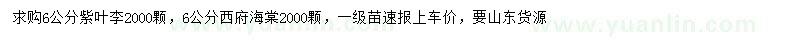 求购6公分紫叶李、6公分西府海棠