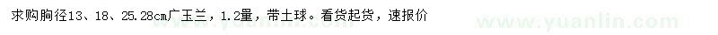 求购胸径13、18、25、28公分广玉兰