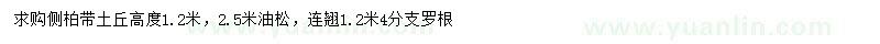 求购侧柏、油松、连翘