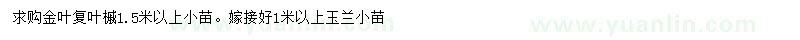 求购1.5米以上金叶复叶槭、1米以上玉兰小苗