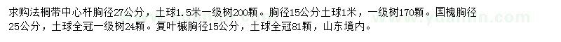 求购法桐、国槐、复叶槭