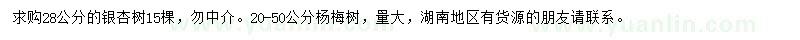 求购28公分银杏、20-50公分杨梅树