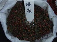 蔷薇，蔷薇种子，蔷薇种子供应，蔷薇种子价格