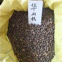 特价供应 花卉苗木松树种子 华山松种子 五针松种子批发