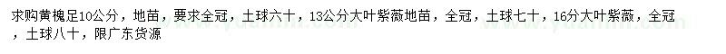 求购10公分黄槐、13公分大叶紫薇