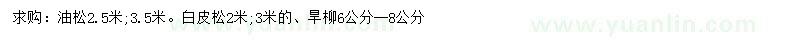 求购油松、白皮松、旱柳