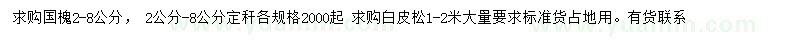 求购2-8公分国槐、1-2米白皮松