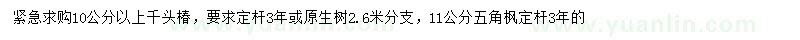 求购10公分以上千头椿、11公分五角枫