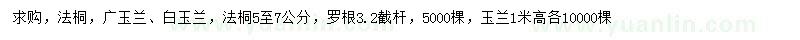 求购法桐、广玉兰、白玉兰等