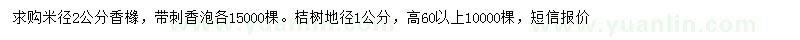 求购香橼、香泡、桔树