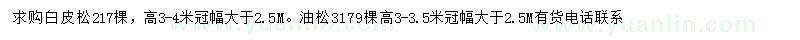 求购高3-4米白皮松、高3-3.5米油松