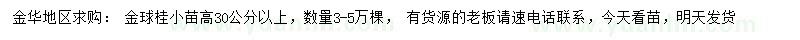 求购高30公分以上金球桂