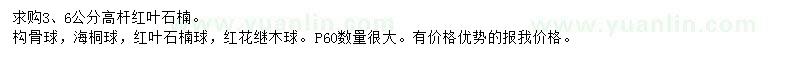 求购红叶石楠、构骨球、海桐球等