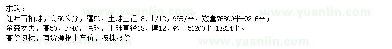 求购高50公分红叶石楠球、金森女贞