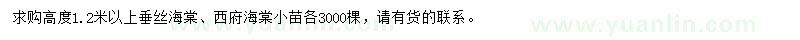 求购高度1.2米以上垂丝海棠、西府海棠小苗