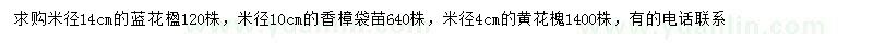 求购蓝花楹、香樟、黄花槐