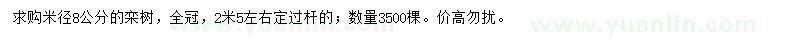 求购米径8公分栾树