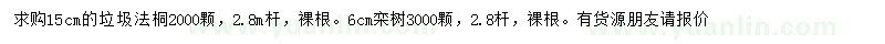 求购15公分垃圾法桐、6公分栾树