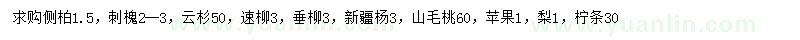 求购侧柏、刺槐、云杉等