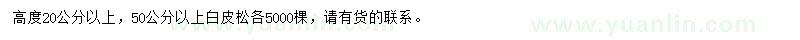 求购高度20公分以上，50公分以上白皮松