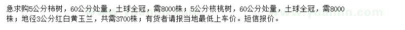 求购柿树、核桃树、红白黄玉兰