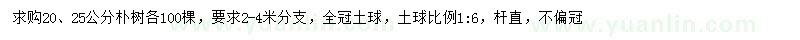 求购20、25公分朴树