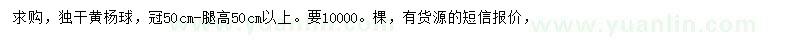 求购冠50公分黄杨球