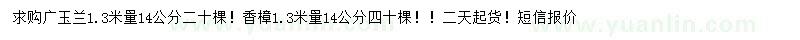 求购1.3米量14公分广玉兰、香樟