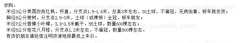 求购美国红枫、楸树、小叶樟等